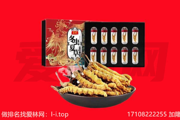 六安市裕安回收虫草.jpg